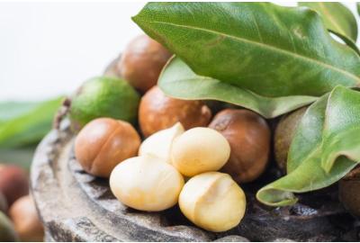 Macadamia nuts: 6 unknown properties